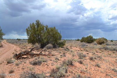 /international/us/lot-020b-e-24th-n-street-snowflake-az-110099010929/