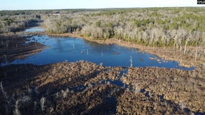 /international/us/millers-pond-road-wagener-sc-110105049173/