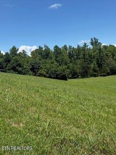 /international/us/00-mill-drive-decatur-tn-110101006349/