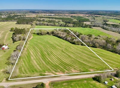 /international/us/19-358-acres-t-peacock-road-hartford-al-110106536153/