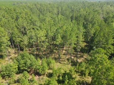 /international/us/county-line-road-mt-vernon-ga-110093686946/