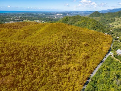 /international/us/bo-tijeras-juana-diaz-pr-110106280694/