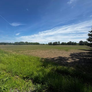 /international/us/brown-road-ostrander-oh-110108354400/