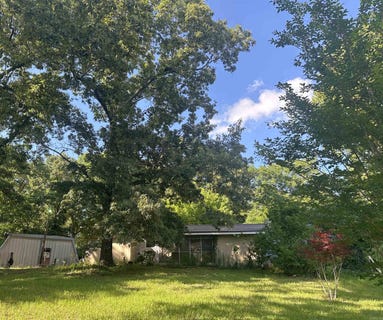 /international/us/167-polk-road-286-hatfield-ar-110105641633/