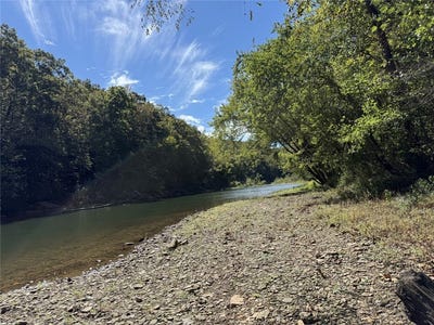 /international/us/river-road-fox-ar-110120417190/