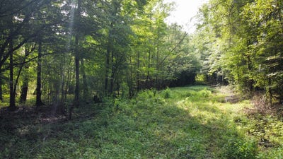 /international/us/fivel-rd-ridgeville-sc-110101012036/