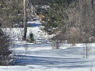 /international/us/530-lind-road-crystal-falls-mi-110106472150/