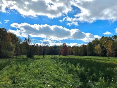 /international/us/vl-parsons-road-grafton-oh-110101051016/?lang=zh-cn