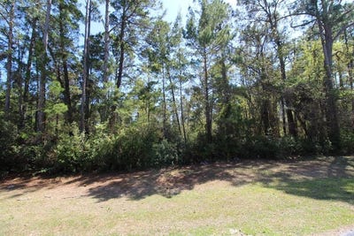 /international/us/260-boncycle-drive-east-point-fl-110120557927/