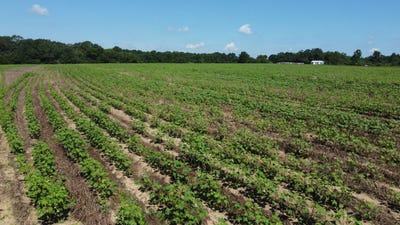 /international/us/812-b-brooks-rd-coffee-springs-al-110109607775/