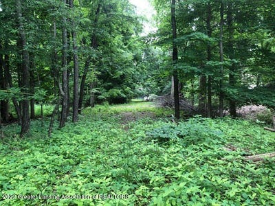 /international/us/driftwood-drive-dewitt-mi-110074296185/