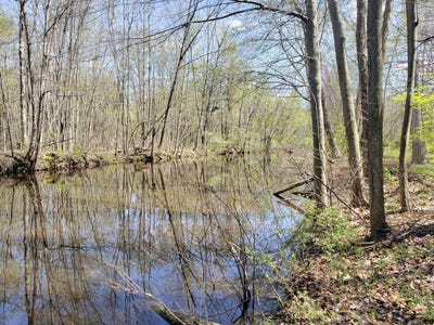 /international/us/5295-n-watervliet-road-watervliet-mi-110119686626/