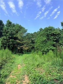 /international/us/henderson-mountain-road-lot-20-jasper-ga-110120714007/