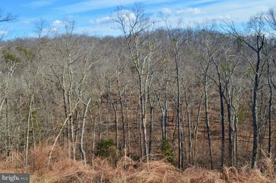 /international/us/gafia-lodge-road-middletown-va-110023922146/