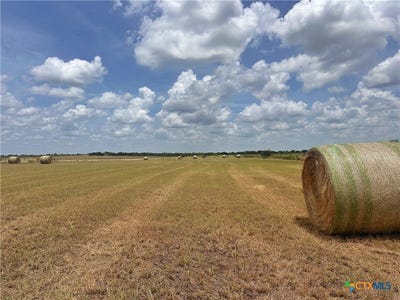 /international/us/8378-w-state-highway-97-cost-tx-110100727936/