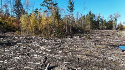 /international/us/long-pine-road-lot-4-woodville-me-110120660395/