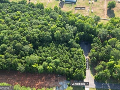 /international/us/369-canvasback-trail-147-locust-grove-ga-110120497764/