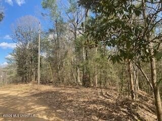 /international/us/turkey-creek-road-lot-12-natchez-ms-110108985149/