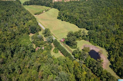 /international/us/county-road-59-lot-0-roanoke-al-110102221948/