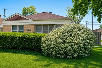 /international/us/4253-prescott-avenue-lyons-il-110108191139/