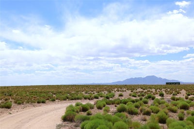 /international/us/rio-grande-estates-lot-7-8-nm-110108611653/
