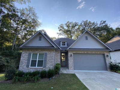 /international/us/15-red-bud-lane-ashville-al-110119925287/