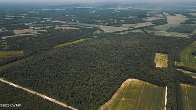 /international/us/0-middleburg-road-lexington-tn-110100813163/