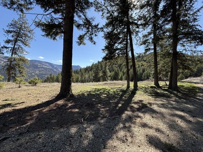 /international/us/tbd-coogan-creek-dr-wauconda-wa-110107004864/
