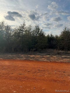 /international/us/deer-loop-lot-21-camden-al-110081756895/