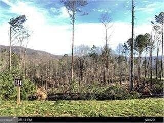 /international/us/lot-131-lot-131-twisted-oak-131-ellijay-ga-110101076512/?lang=zh-cn