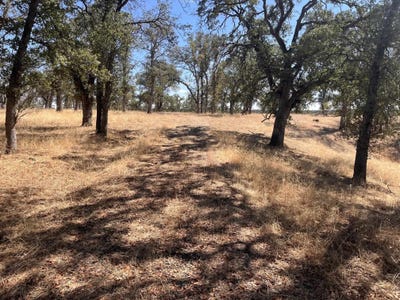 /international/us/32-mccoy-road-red-bluff-ca-110110065581/
