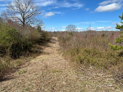 /international/us/holt-spur-road-jamestown-tn-110090948741/