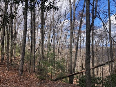/international/us/bobcat-mountain-road-lot-21-purlear-nc-110107879878/