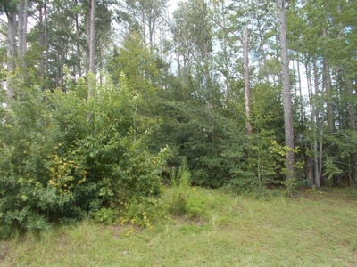 /international/us/woodlake-circle-tract-1-douglas-ga-110109962215/