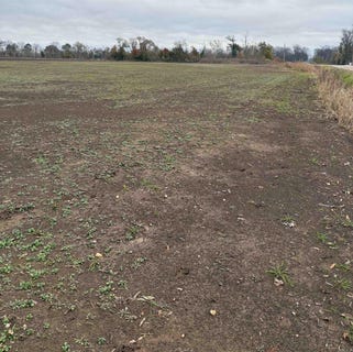 /international/us/n-144-highway-lot-2-390-lake-village-ar-110106703147/
