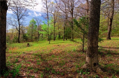 /international/us/14240-truelove-road-west-fork-ar-110110223038/
