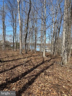 /international/us/lot-161-new-dawn-ct-bumpass-va-110106955488/