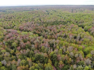 /international/us/county-road-577-lot-anna-river-rdp-munising-mi-110093949995/