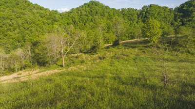 /international/us/lots-9-big-springs-road-eidson-tn-110100353790/?lang=zh-tw