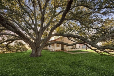 /international/us/1155-lomax-harmel-road-burton-tx-110104973606/