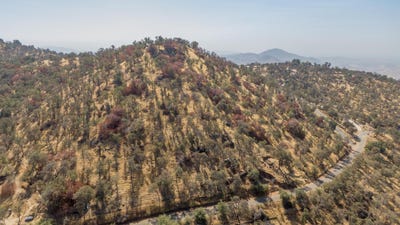 /international/us/0-cardinal-ln-yokuts-valley-ca-110095118096/?lang=zh-tw
