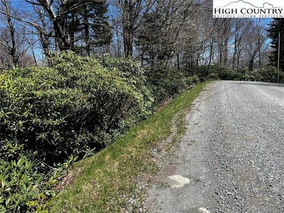 /international/us/117-wild-daisy-lane-beech-mountain-nc-110098482359/?lang=zh-tw