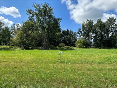 /international/us/lot-7-tanglewood-development-allegany-ny-110081514613/?lang=zh-tw
