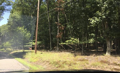 /international/us/66-cheyney-drive-hazle-twp-pa-110103366976/