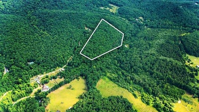 /international/us/tbd-calf-mountain-rd-waynesboro-va-110108934103/
