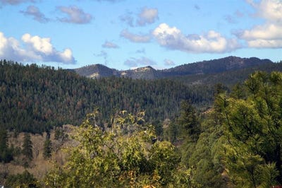 /international/us/2519-county-rd-335-pagosa-springs-co-110108467273/