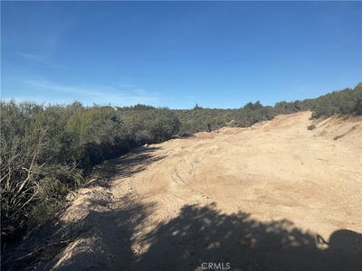 /international/us/22-arglye-king-city-ca-110106497020/