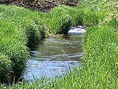 /international/us/tract-214-hawk-creek-ranches-rd-davenport-wa-110098531819/