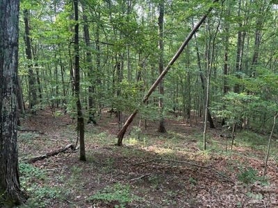 /international/us/cardinal-circle-tryon-nc-110108347581/