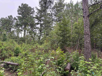 /international/us/mcgregor-st-lot-10-d-lake-city-sc-110101480121/